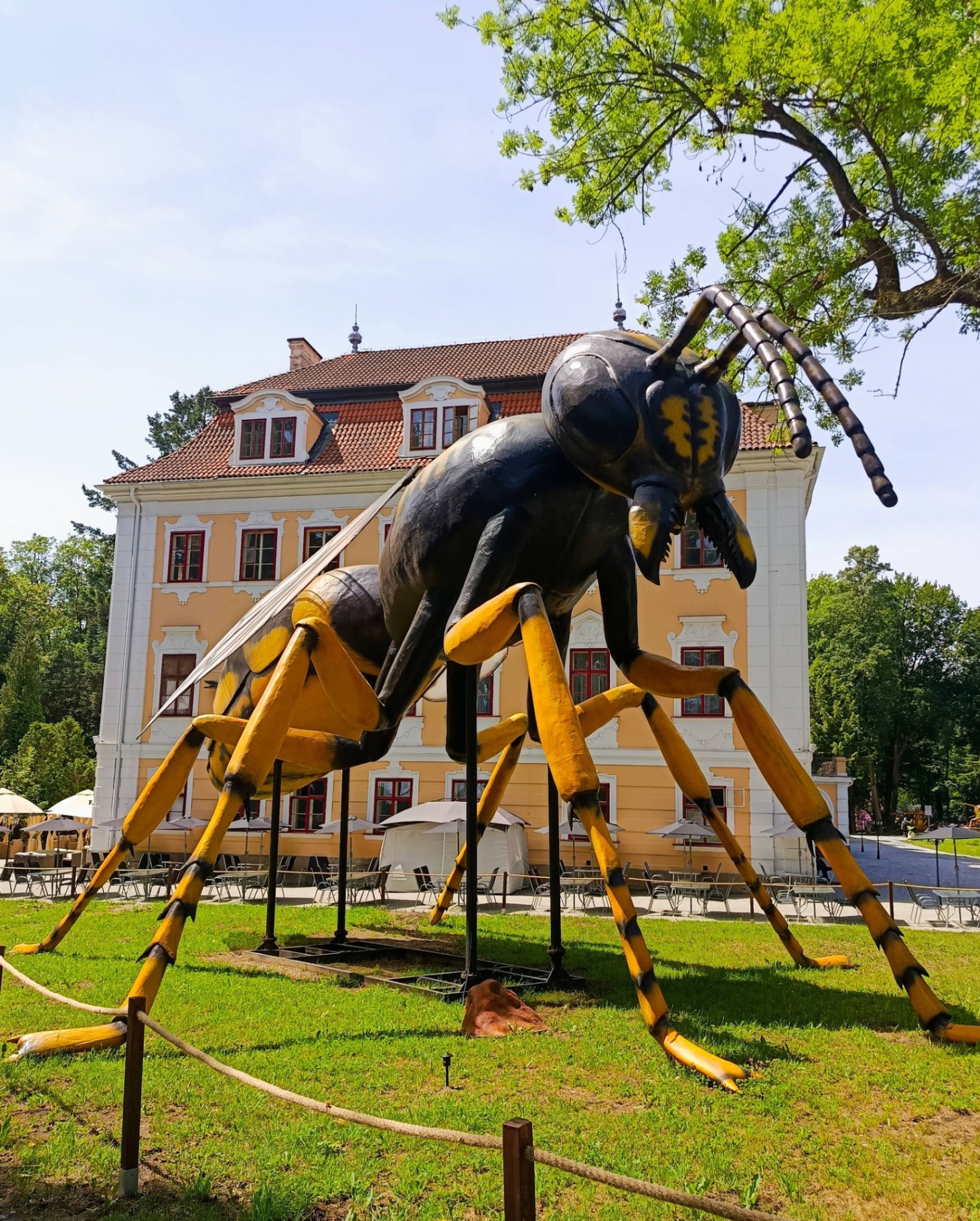 Obří vosa