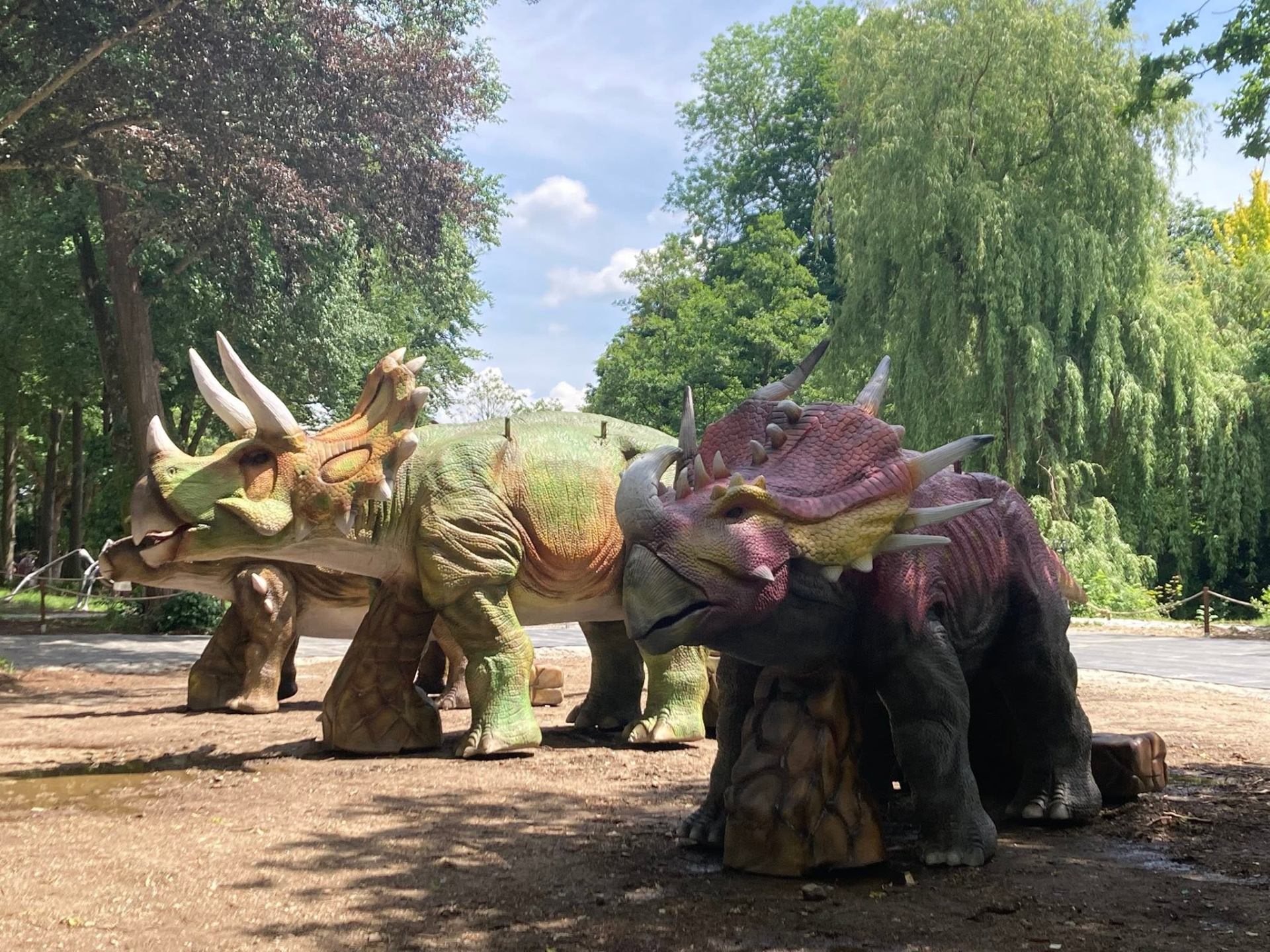Triceratops – stádo rohatých obrů