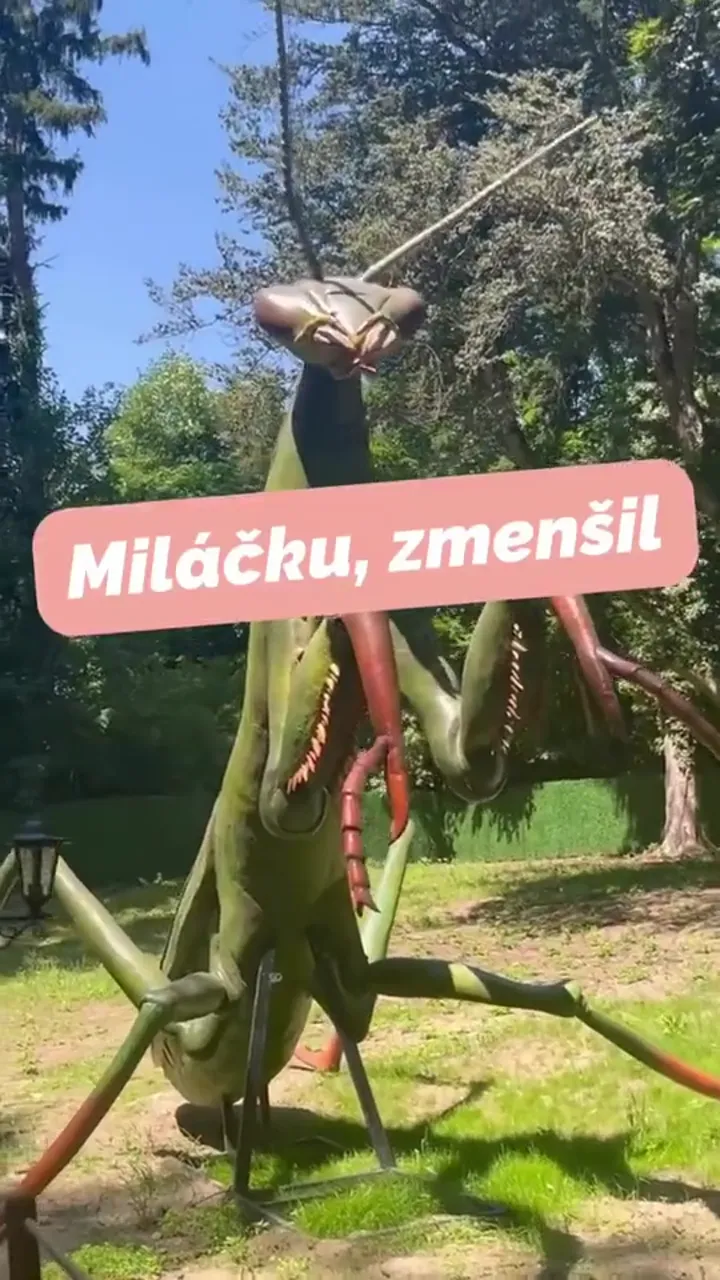 Video — mami.kam.s.detmi