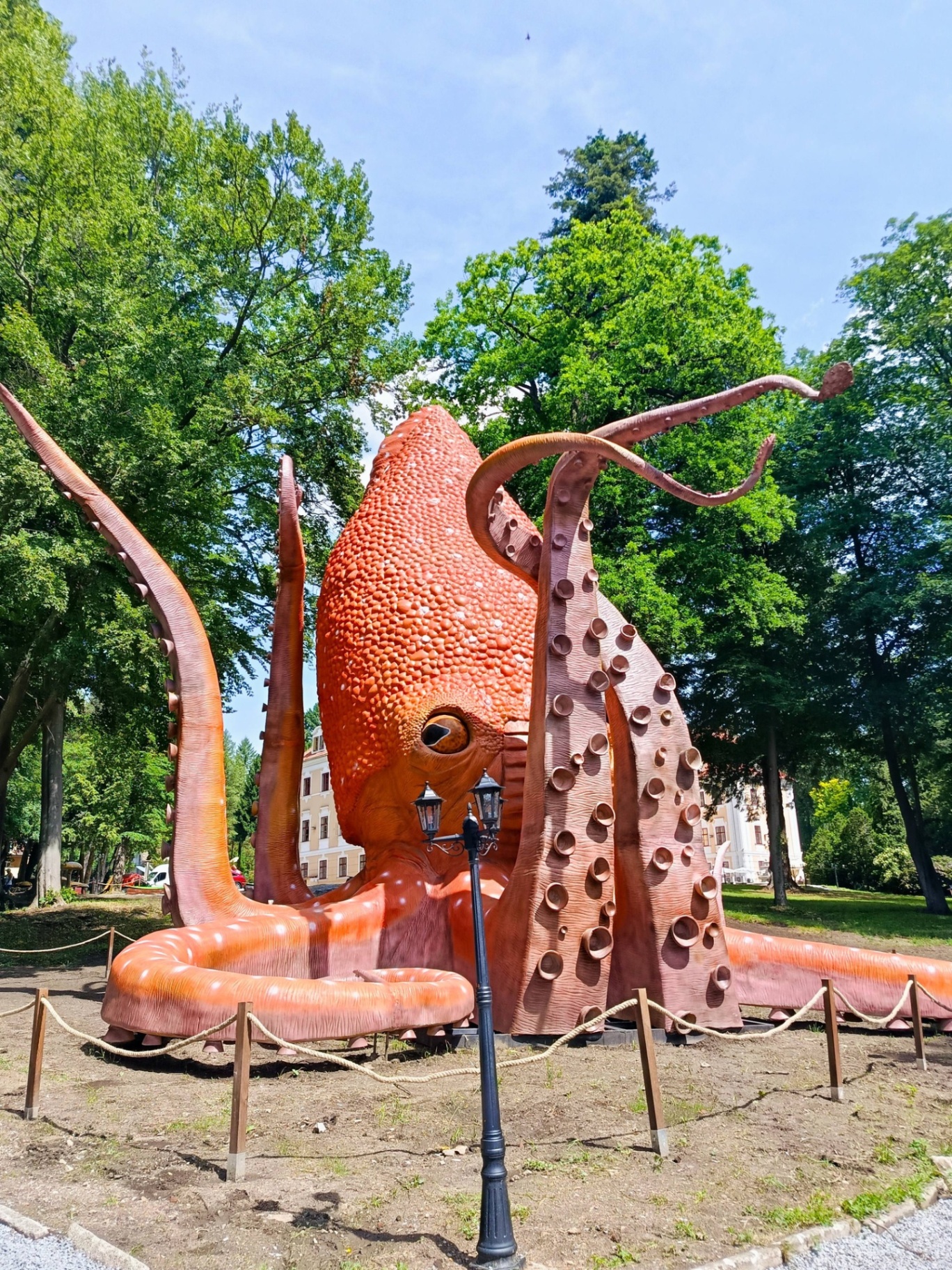 Chobotnice