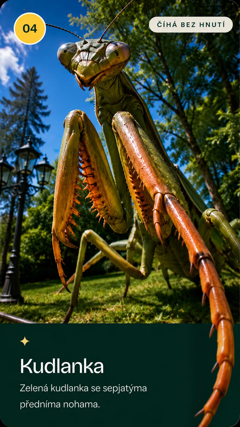 Kudlanka, obří model v parku Svět obrů, Chlum u Třeboně